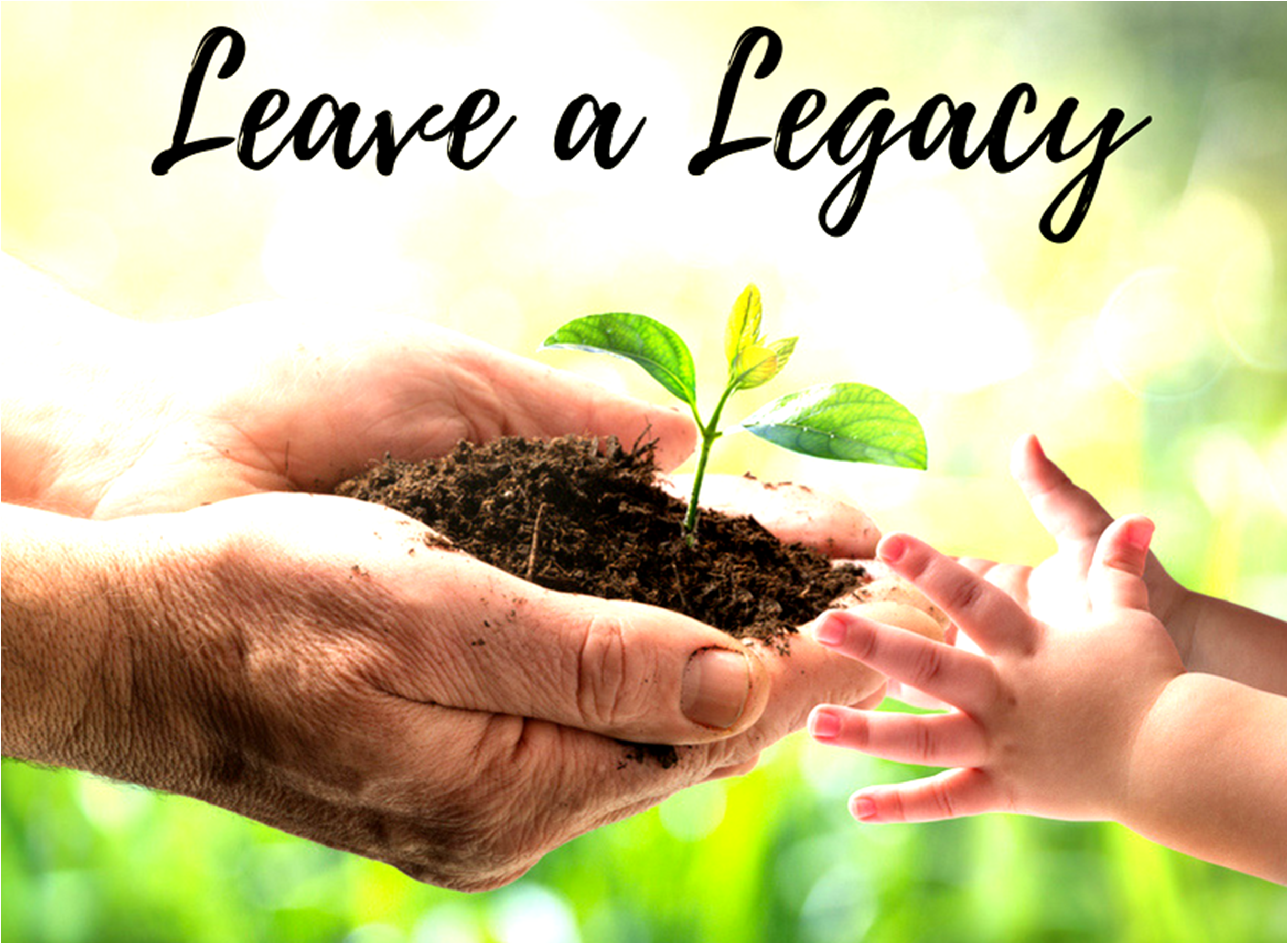 WHAT’S YOUR LEGACY? - Durfee Law Group